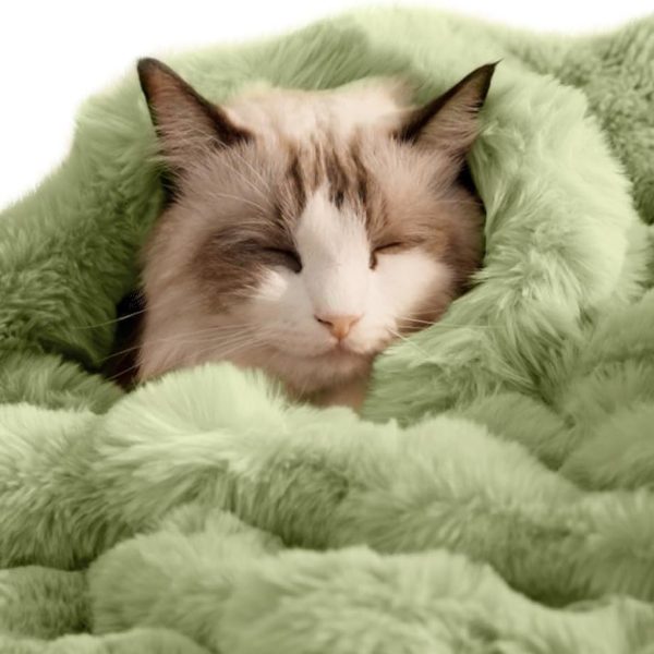 Soft Faux Fur Cat Blanket, Washable Cozy Pet Throw, Small 22x18", Fruit Pattern