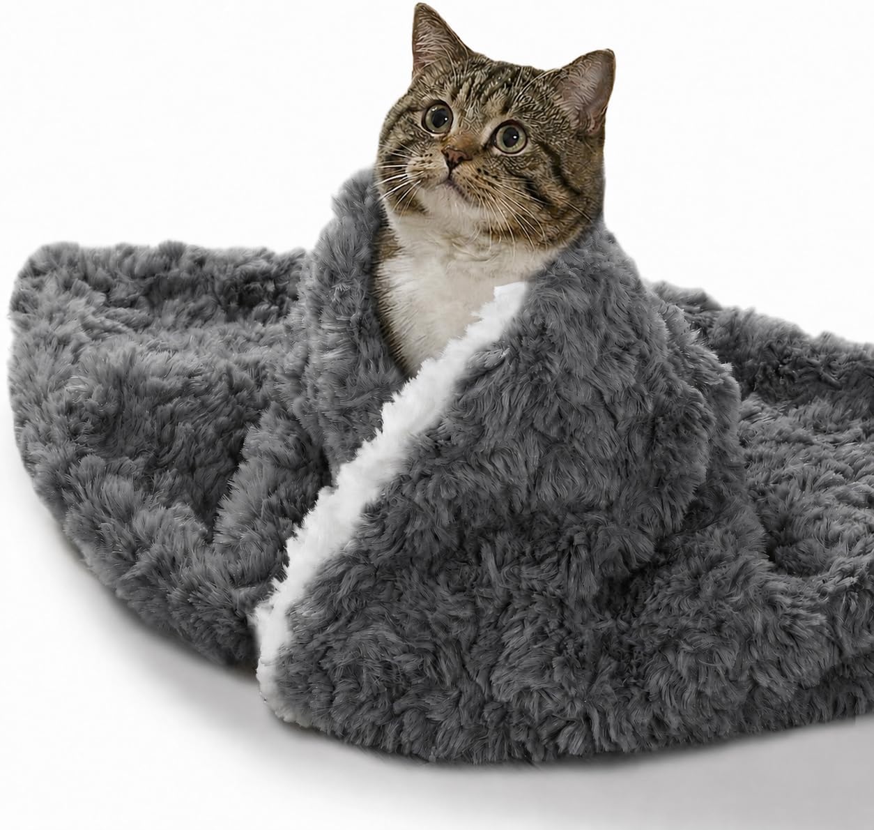 Soft Faux Fur & Sherpa Cat Blanket, Cozy Throw for Indoor Cats