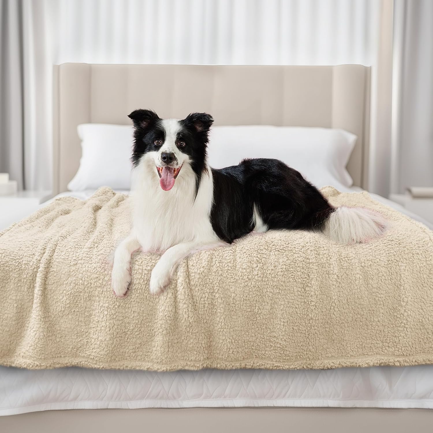 Ultra Soft Sherpa Fleece Pet Blanket for Small Dogs & Cats, Cozy Plush Throw